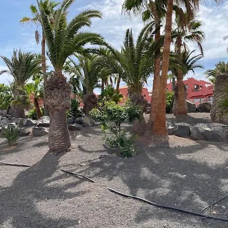 Oasis Royal * Corralejo