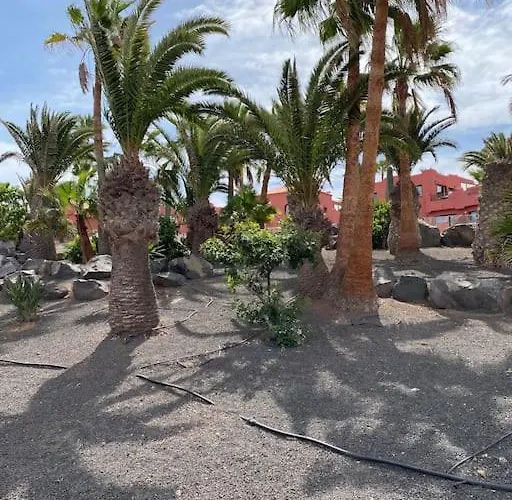 Oasis Royal * Corralejo