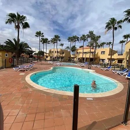 Oasis Royal